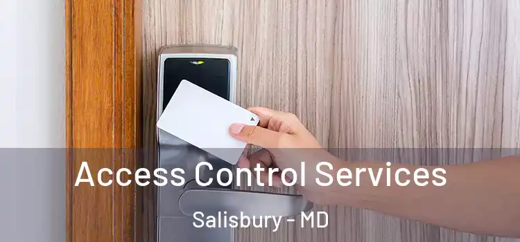  Access Control Services Salisbury - MD