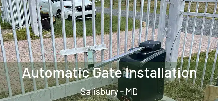  Automatic Gate Installation Salisbury - MD
