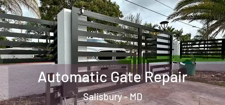  Automatic Gate Repair Salisbury - MD