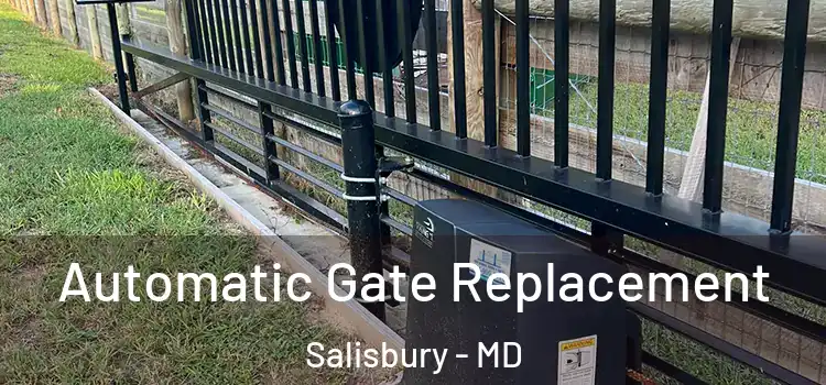  Automatic Gate Replacement Salisbury - MD