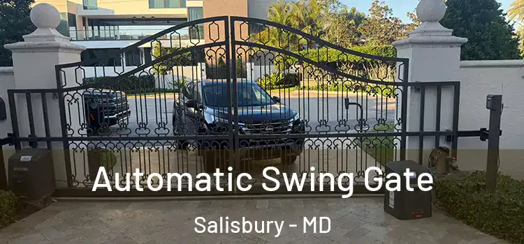  Automatic Swing Gate Salisbury - MD