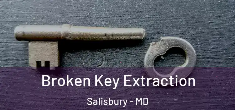  Broken Key Extraction Salisbury - MD