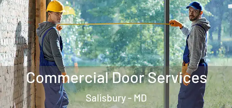  Commercial Door Services Salisbury - MD
