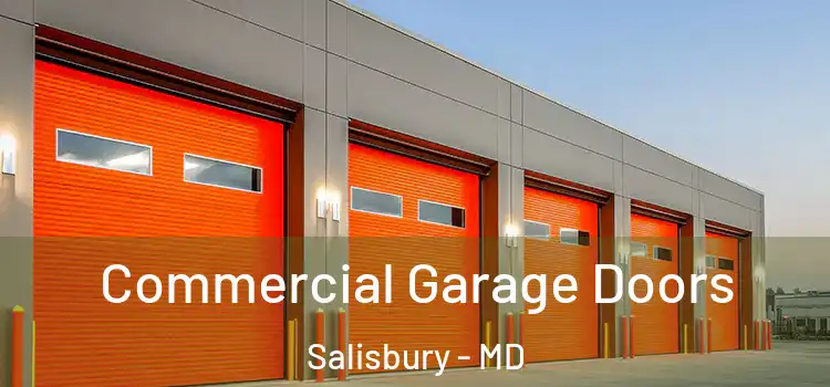  Commercial Garage Doors Salisbury - MD