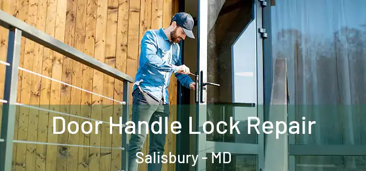  Door Handle Lock Repair Salisbury - MD