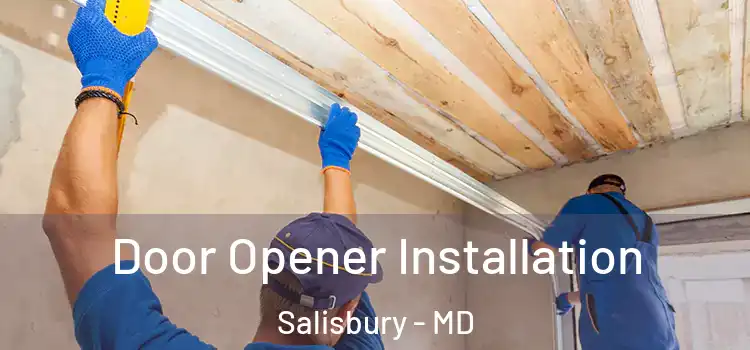  Door Opener Installation Salisbury - MD