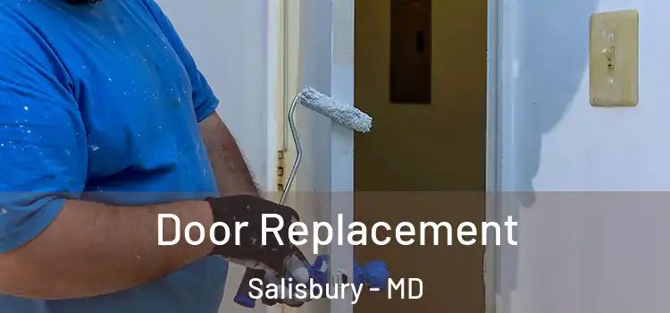  Door Replacement Salisbury - MD