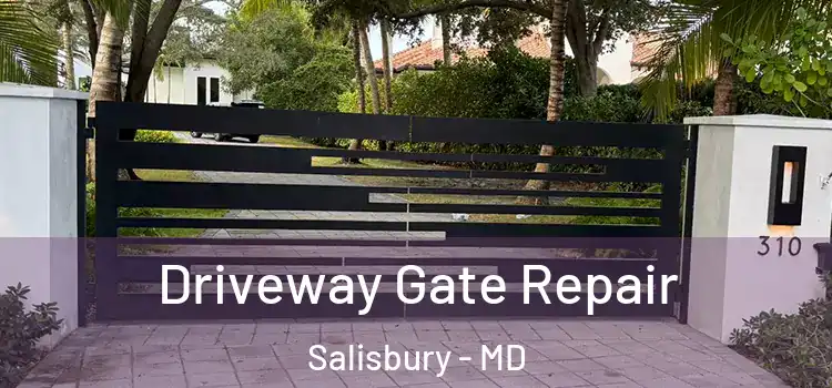  Driveway Gate Repair Salisbury - MD