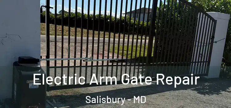  Electric Arm Gate Repair Salisbury - MD