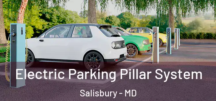  Electric Parking Pillar System Salisbury - MD