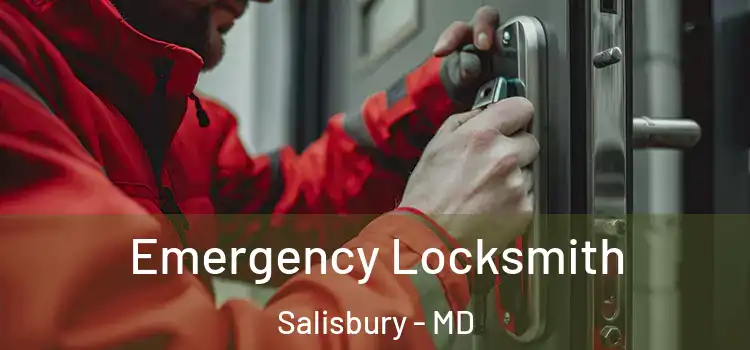 Emergency Locksmith Salisbury - MD