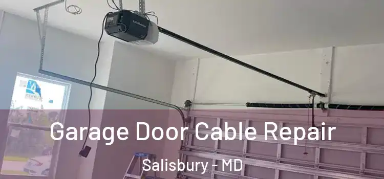  Garage Door Cable Repair Salisbury - MD