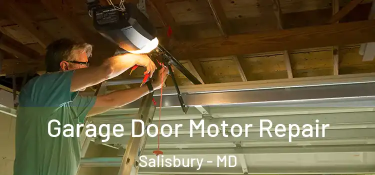  Garage Door Motor Repair Salisbury - MD