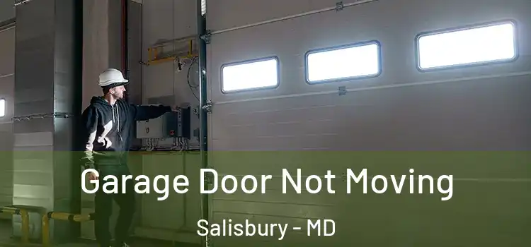 Garage Door Not Moving Salisbury - MD