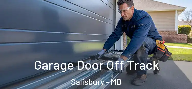  Garage Door Off Track Salisbury - MD