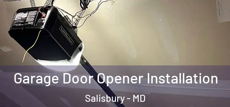  Garage Door Opener Installation Salisbury - MD