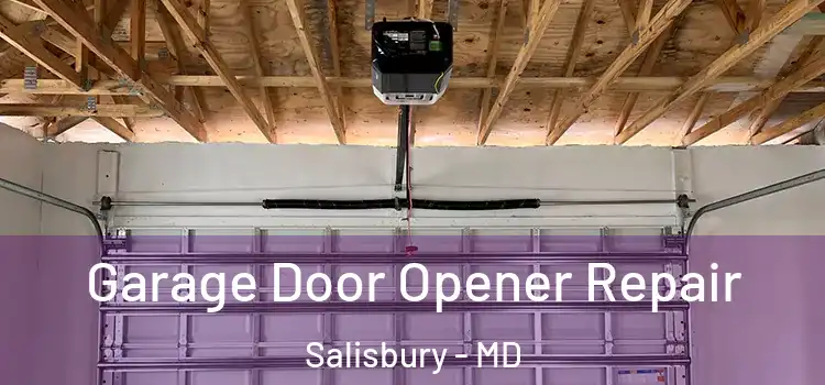  Garage Door Opener Repair Salisbury - MD