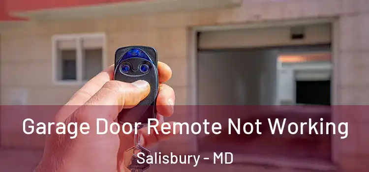  Garage Door Remote Not Working Salisbury - MD