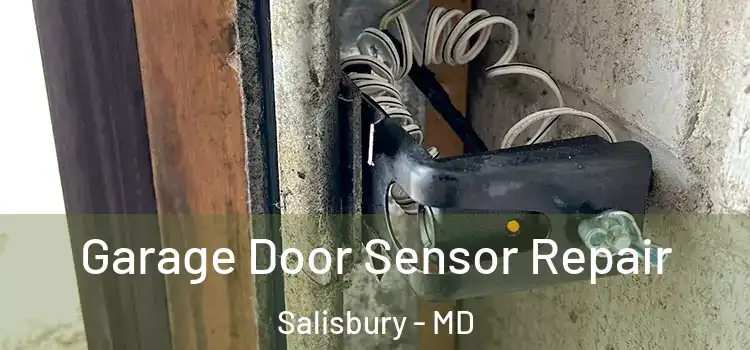  Garage Door Sensor Repair Salisbury - MD