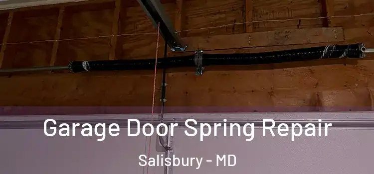  Garage Door Spring Repair Salisbury - MD