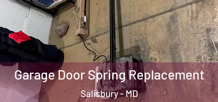  Garage Door Spring Replacement Salisbury - MD