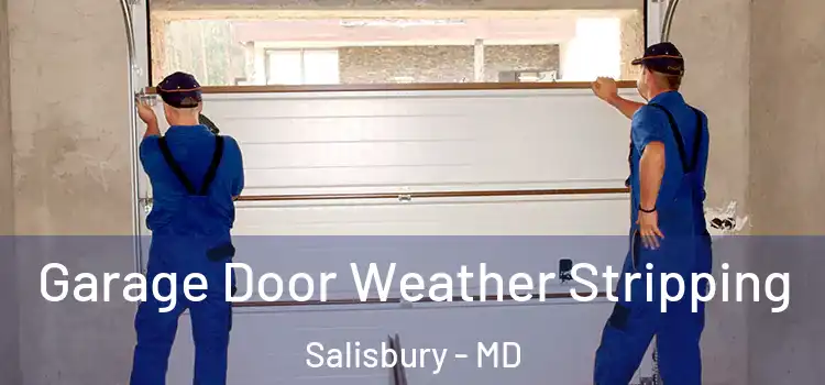  Garage Door Weather Stripping Salisbury - MD