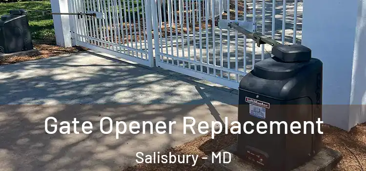  Gate Opener Replacement Salisbury - MD