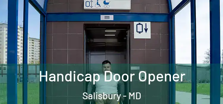  Handicap Door Opener Salisbury - MD