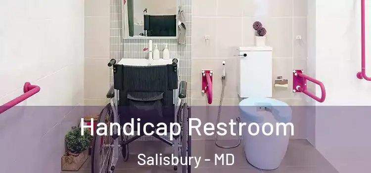  Handicap Restroom Salisbury - MD
