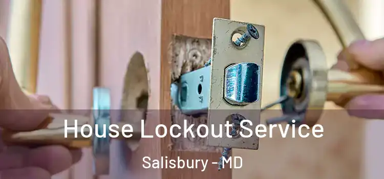  House Lockout Service Salisbury - MD