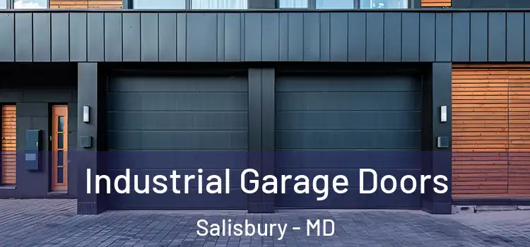  Industrial Garage Doors Salisbury - MD