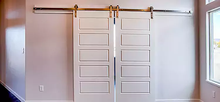 Glass Barn Door with Installation Hardware Kit Salisbury