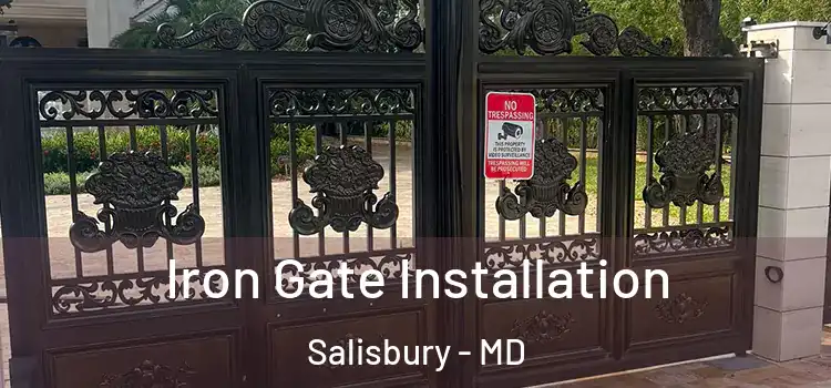  Iron Gate Installation Salisbury - MD