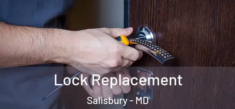  Lock Replacement Salisbury - MD