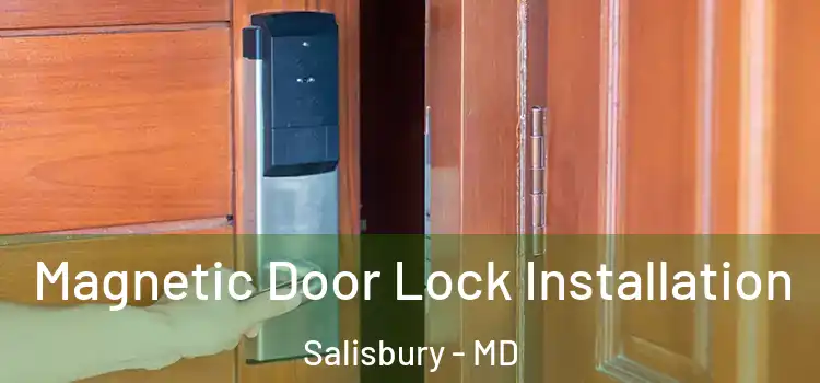  Magnetic Door Lock Installation Salisbury - MD