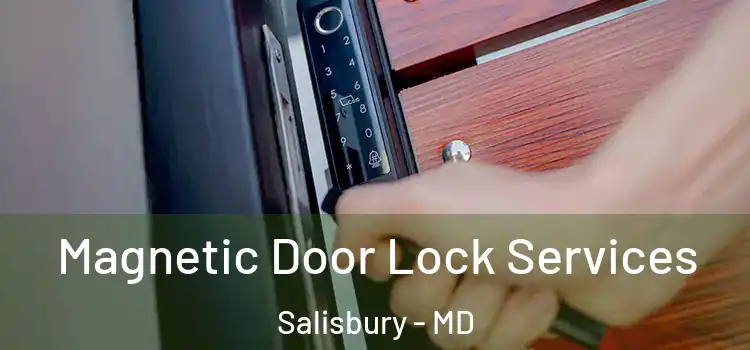  Magnetic Door Lock Services Salisbury - MD