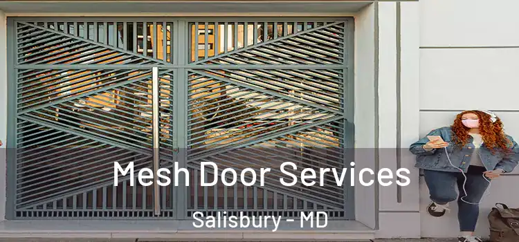  Mesh Door Services Salisbury - MD