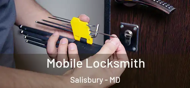  Mobile Locksmith Salisbury - MD