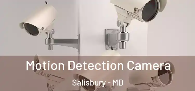  Motion Detection Camera Salisbury - MD