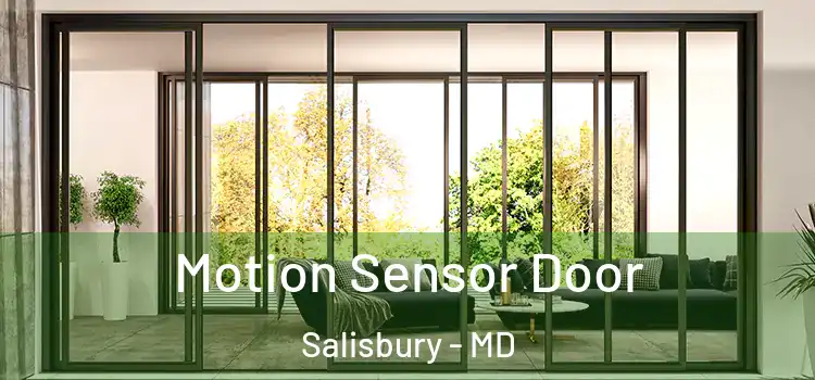  Motion Sensor Door Salisbury - MD