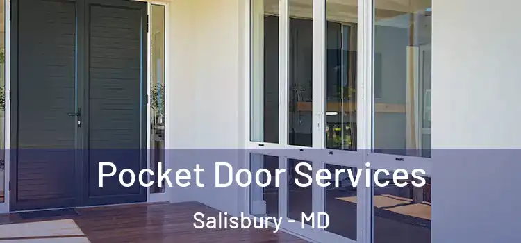  Pocket Door Services Salisbury - MD