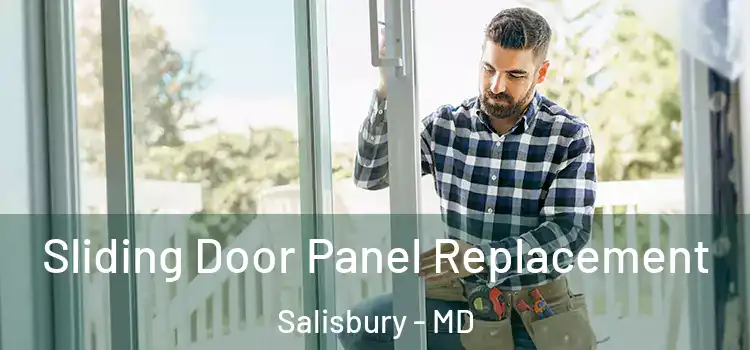  Sliding Door Panel Replacement Salisbury - MD