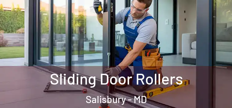  Sliding Door Rollers Salisbury - MD