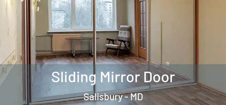  Sliding Mirror Door Salisbury - MD