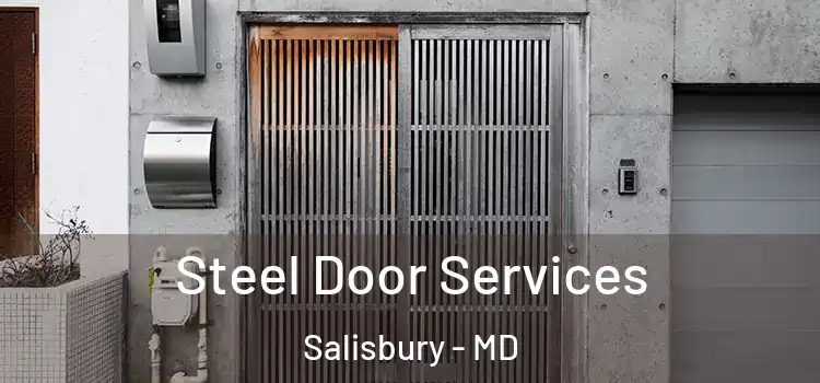  Steel Door Services Salisbury - MD